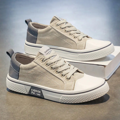 Baskets Basses en Toile Homme