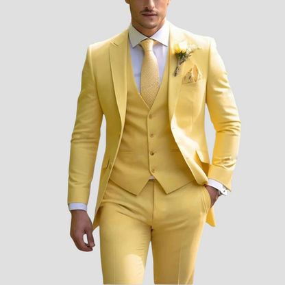 Costume Trois Pièces Slim Homme